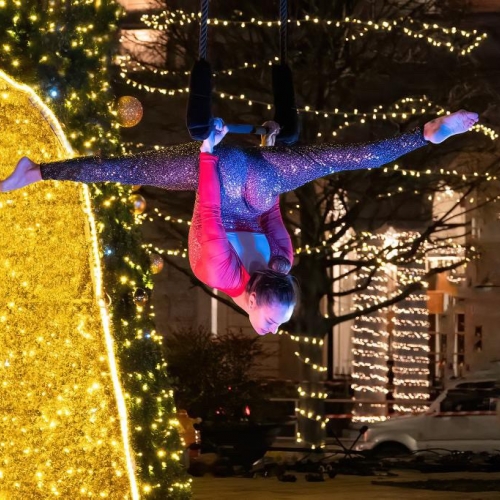 spettacolo danza aerea con trapezio